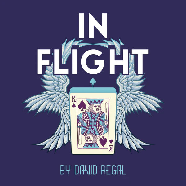 In Flight by David Regal